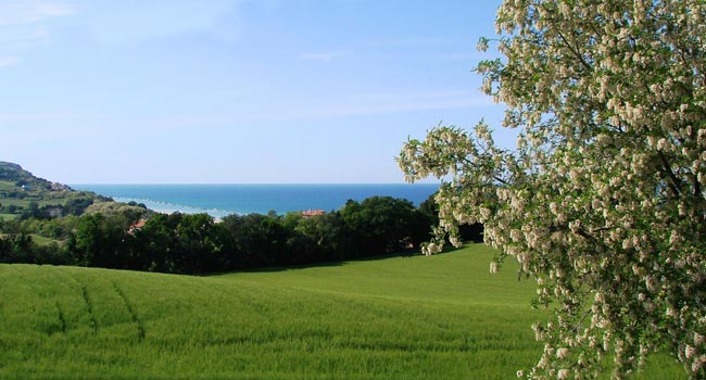 Farmhouse with Sea View Le Marche Italy