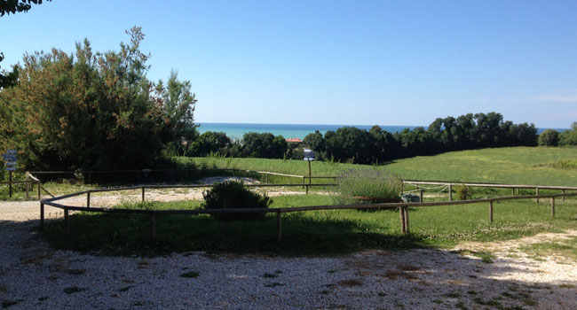 Ca Ramarra - Appartamento Agriturismo vicino al mare - Marche PU