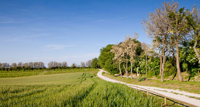 Ca Ramarra - Appartamento Agriturismo vicino al mare - Marche PU